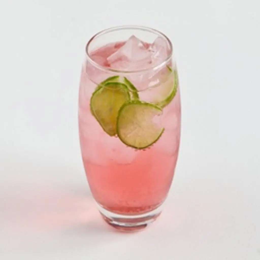 Watermelon Mojito